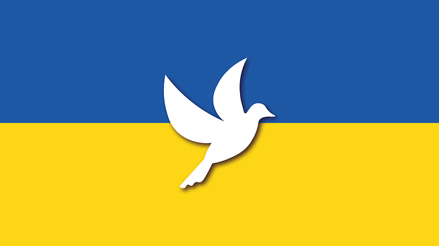 Motion Ukraine du Conseil Communal